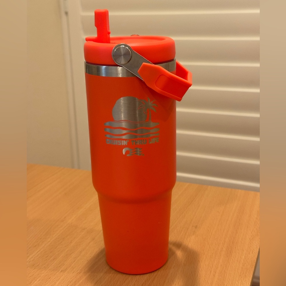 Princess Cruises insulated tumbler orange ~16 oz with lid & straw, like new